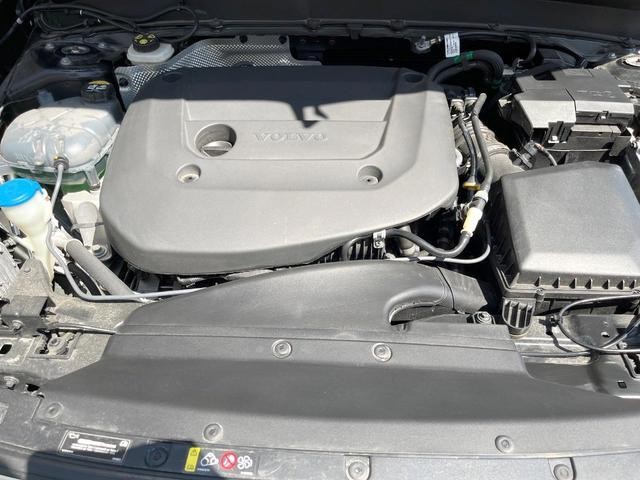 26022816_carP_l_18.jpg