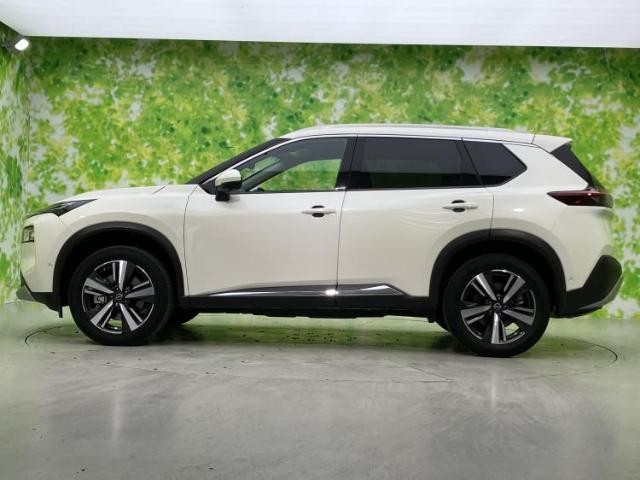 23939080_carP_l_3.jpg