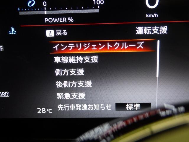 27026542_carP_l_10.jpg
