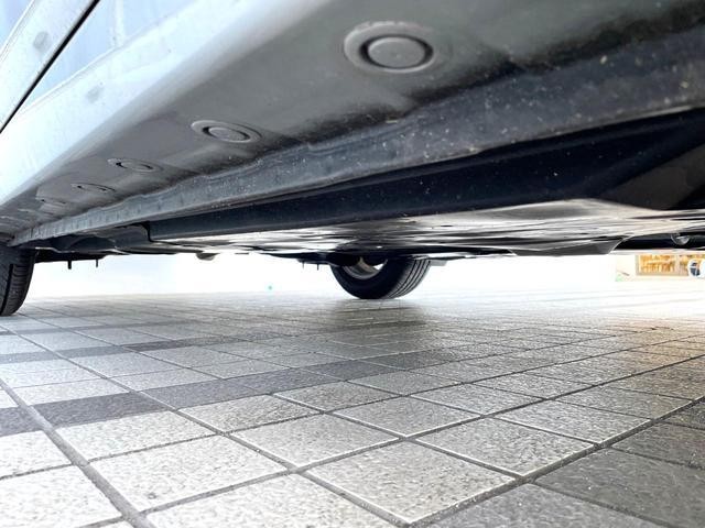 25056624_carP_l_18.jpg