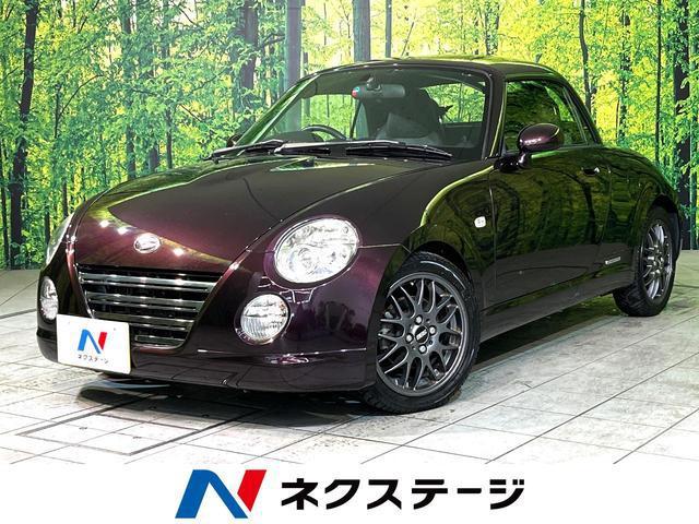 25329010_carP_l_1.jpg