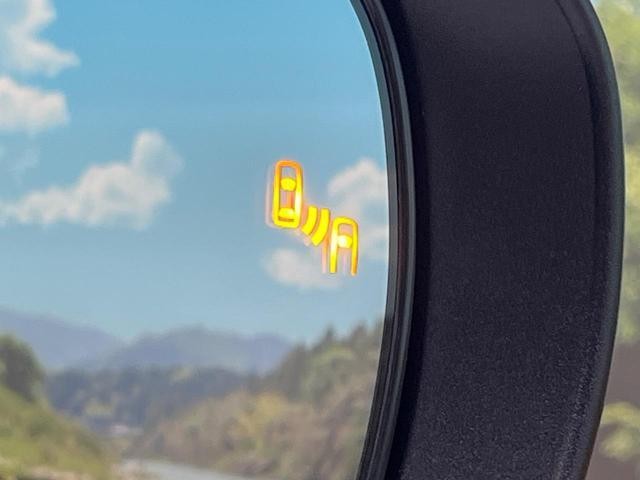 25754405_carP_l_13.jpg