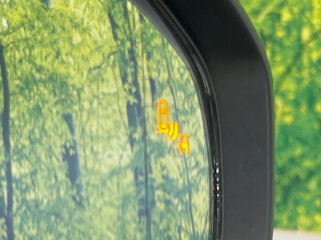 24581663_carP_l_13.jpg