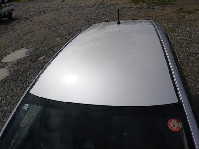 26843866_carP_l_14.jpg
