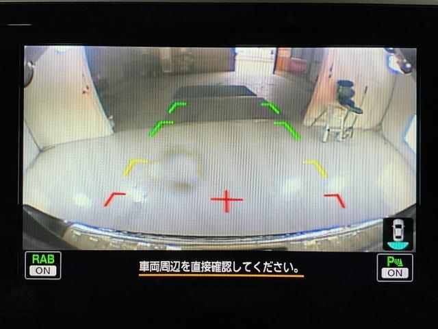24259330_carP_l_9.jpg