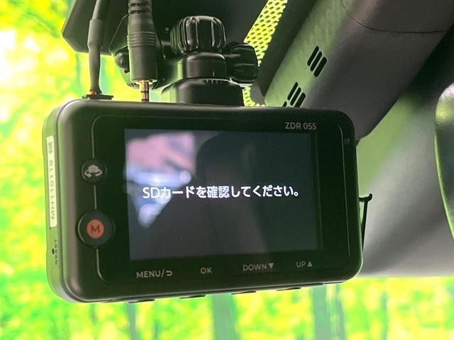 25096184_carP_l_10.jpg
