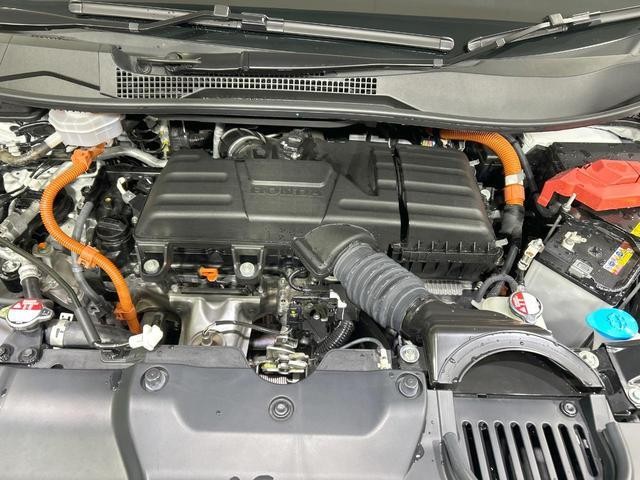 24953516_carP_l_12.jpg