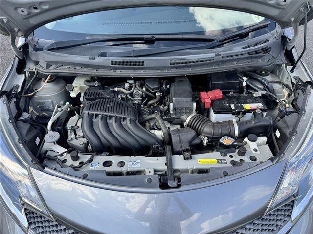 26876355_carP_l_16.jpg