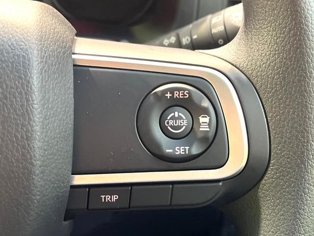 27072188_carP_l_14.jpg