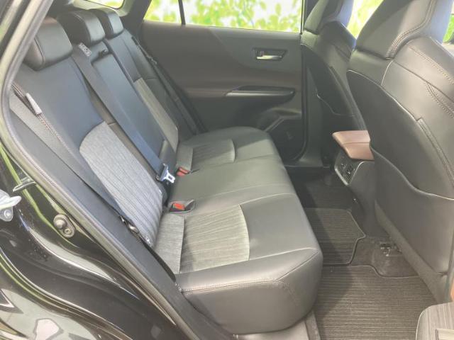 21886158_carP_l_10.jpg
