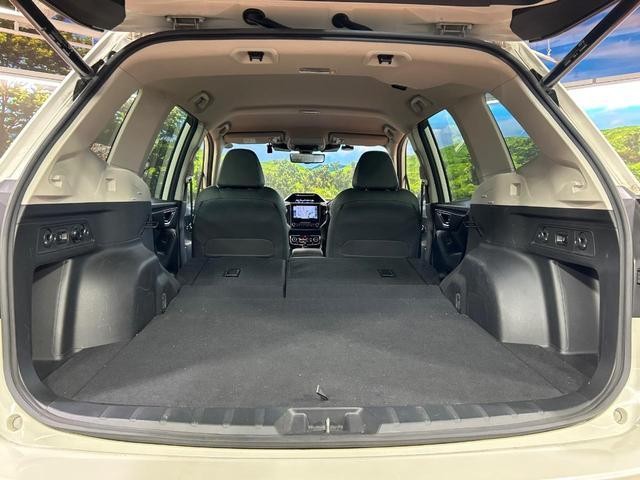 25673859_carP_l_2.jpg