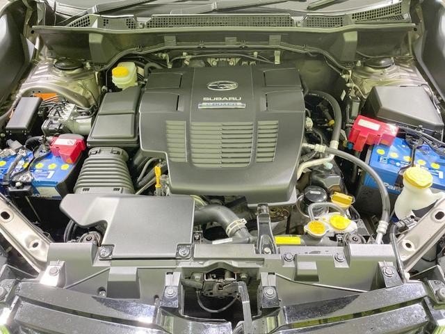 25550157_carP_l_18.jpg