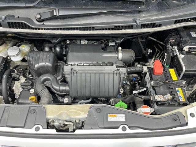 25199862_carP_l_16.jpg