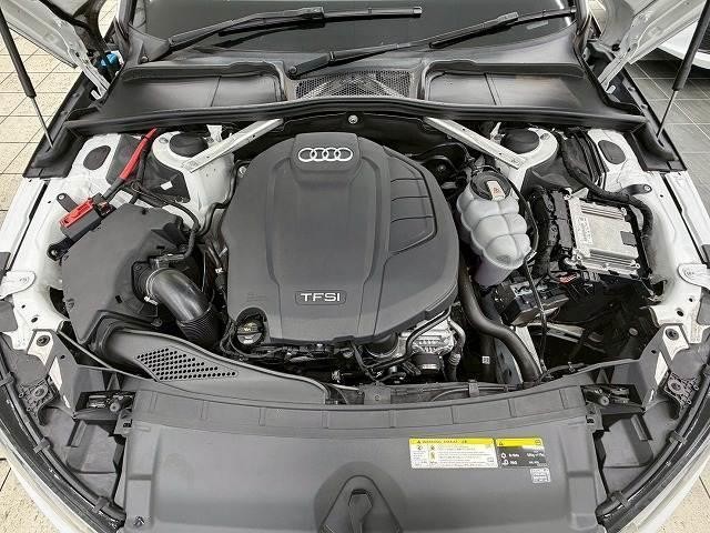 25256672_carP_l_20.jpg