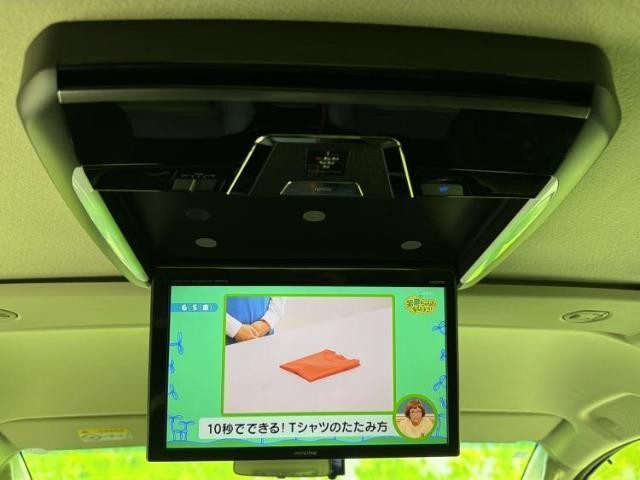 24395149_carP_l_19.jpg