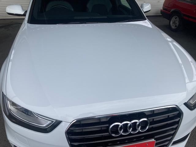 26106518_carP_l_6.jpg