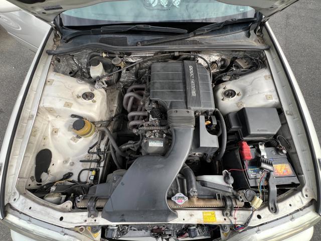23591962_carP_l_17.jpg