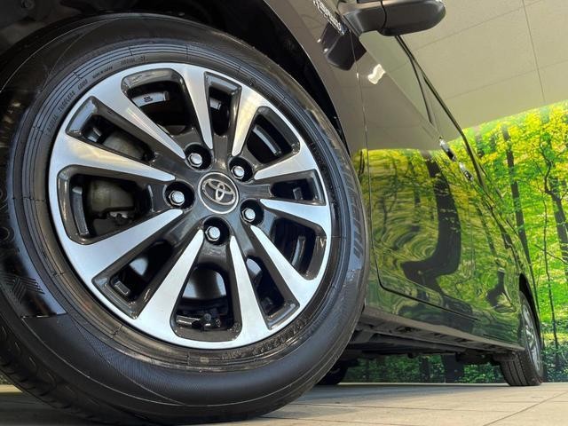 25117659_carP_l_7.jpg