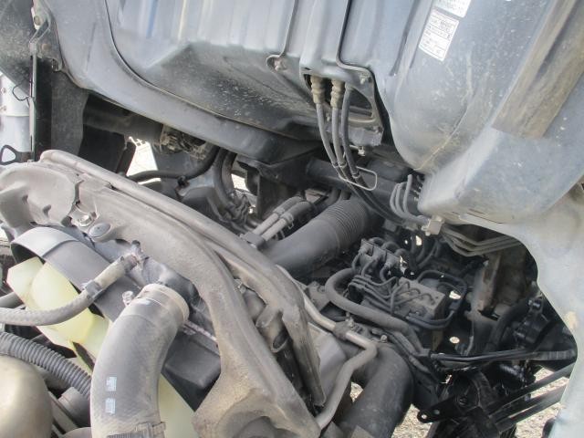 25695221_carP_l_14.jpg