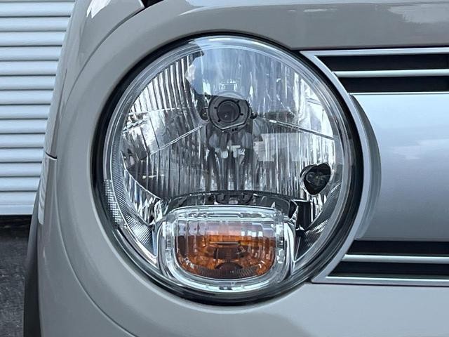 25963049_carP_l_6.jpg