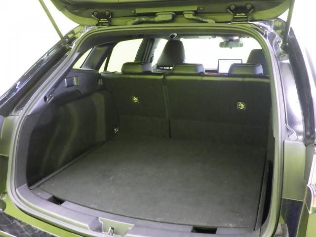 27131642_carP_l_7.jpg