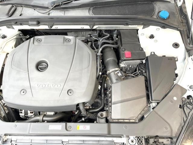26273019_carP_l_20.jpg