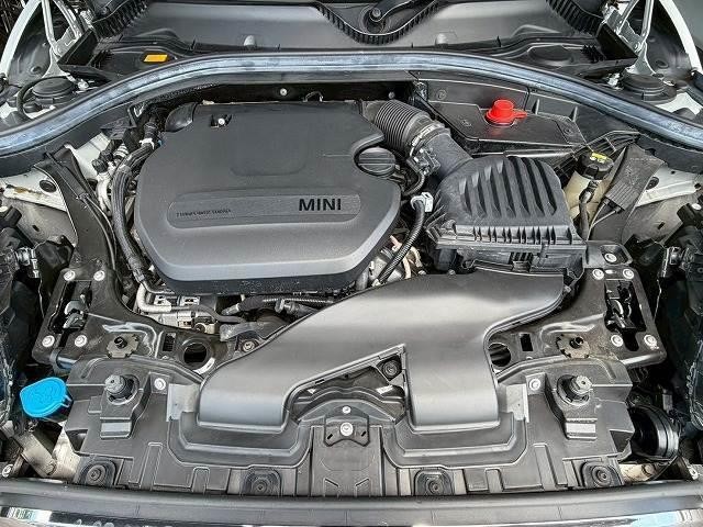25256689_carP_l_16.jpg