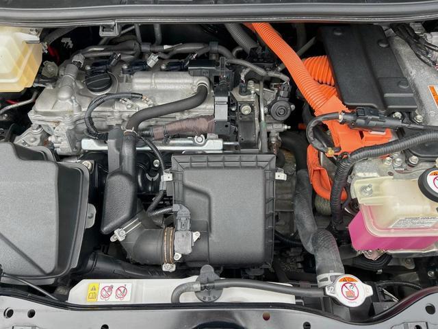 24521016_carP_l_16.jpg