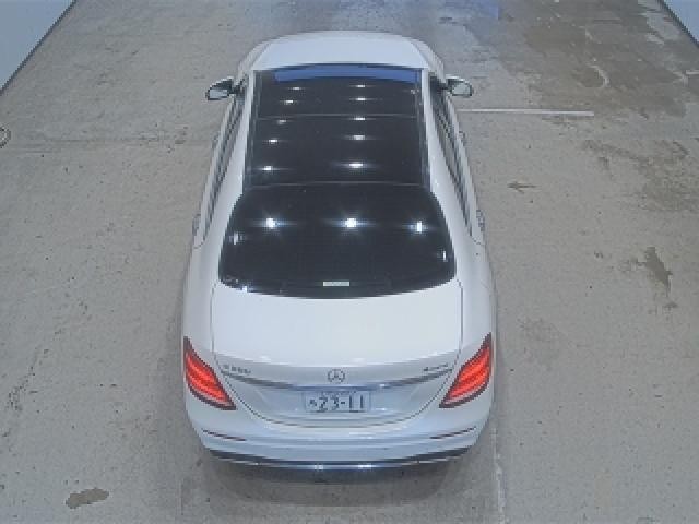 26174203_carP_l_10.jpg