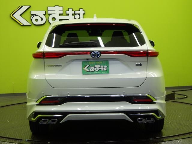 27131644_carP_l_18.jpg