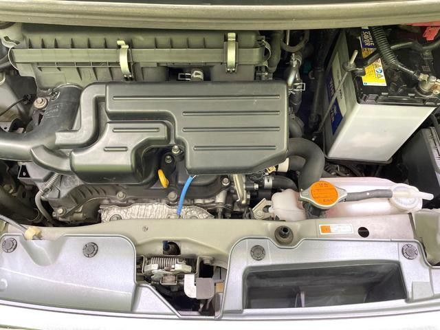 26902237_carP_l_16.jpg