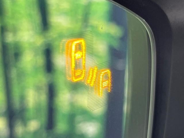 25550166_carP_l_10.jpg