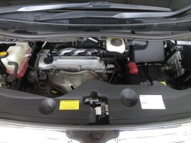 24948115_carP_l_20.jpg