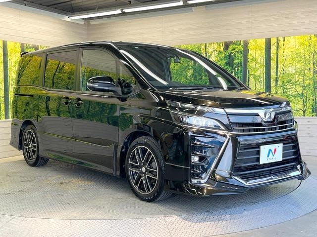 26043299_carP_l_12.jpg