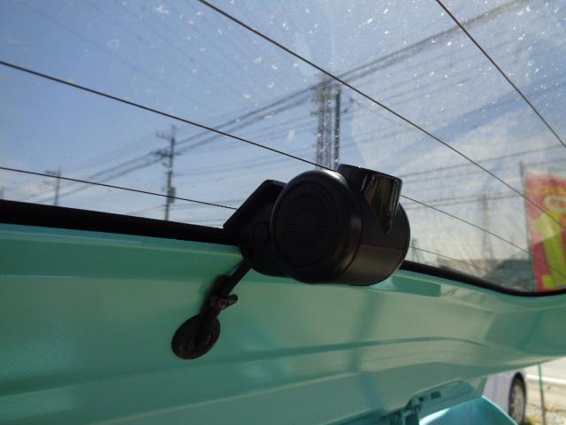 23596853_carP_l_7.jpg