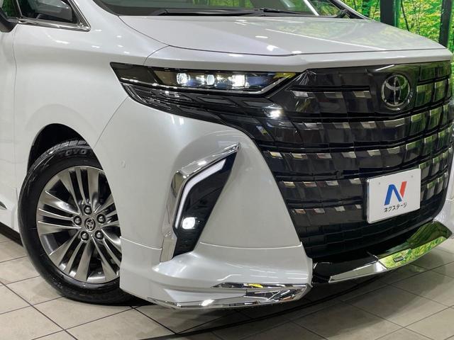 24441379_carP_l_6.jpg