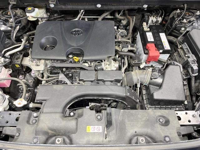 25199866_carP_l_16.jpg