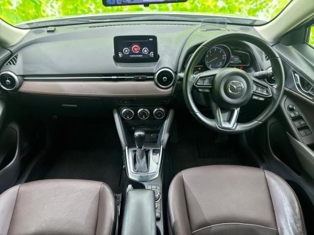 25193674_carP_l_4.jpg