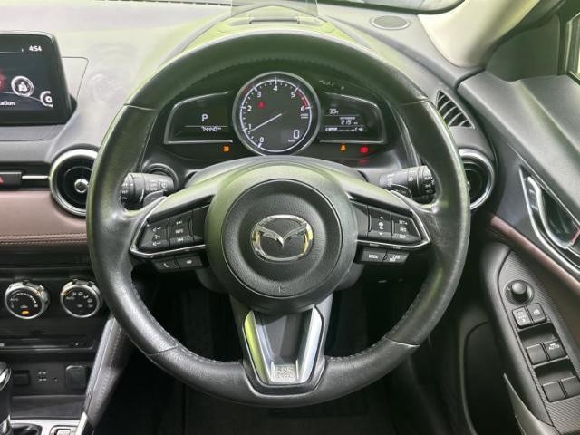 25193674_carP_l_6.jpg