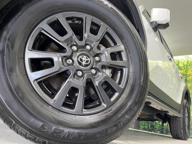 26023071_carP_l_8.jpg