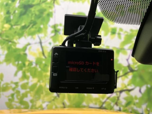 25030026_carP_l_9.jpg