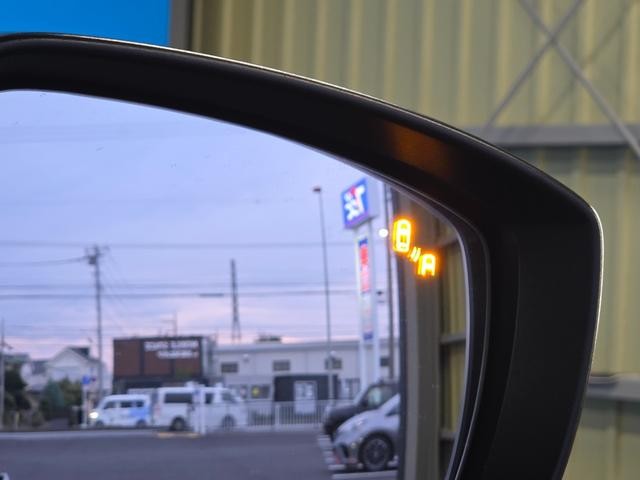 0520681A30261019W00512.jpg