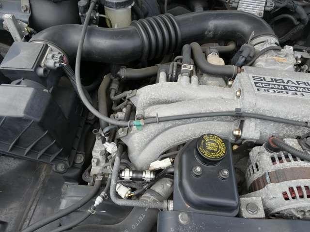 25060958_carP_l_11.jpg