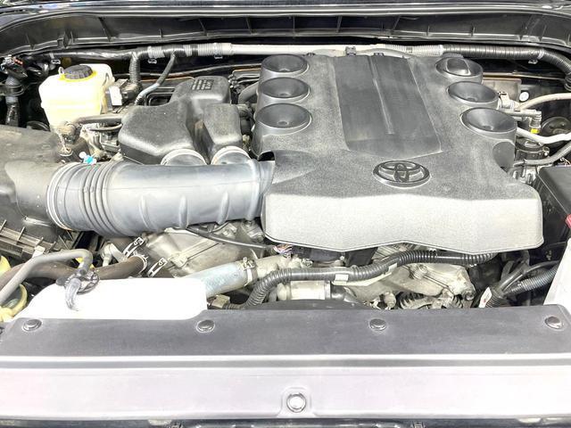 23846766_carP_l_16.jpg