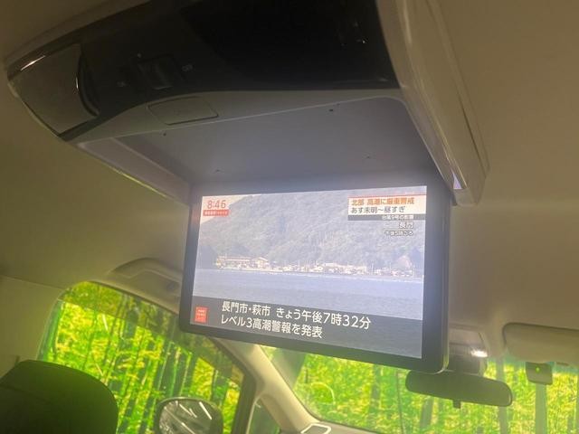 25200029_carP_l_13.jpg