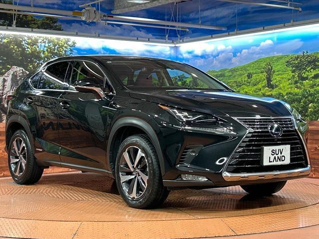 24381132_carP_l_11.jpg