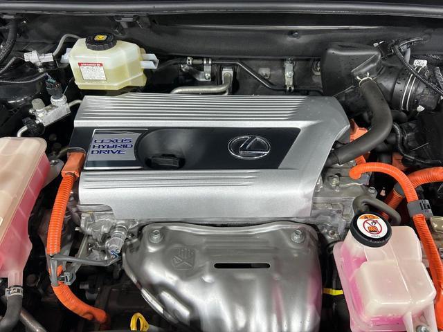 24381132_carP_l_16.jpg