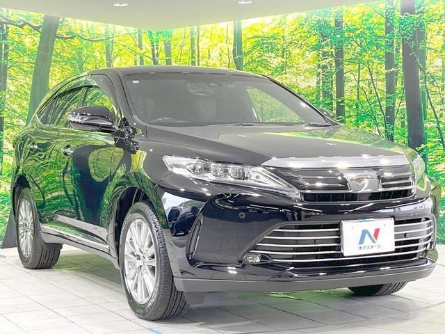 25283741_carP_l_11.jpg