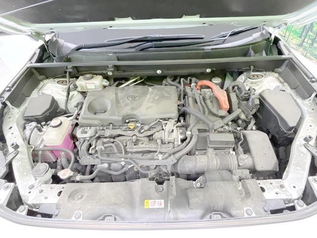 25283743_carP_l_16.jpg