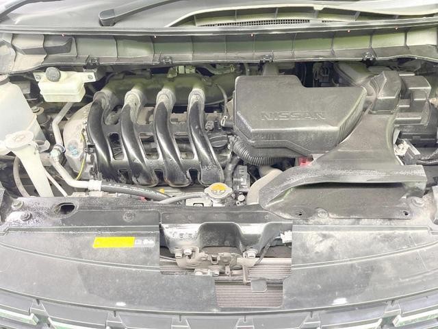 25283745_carP_l_16.jpg
